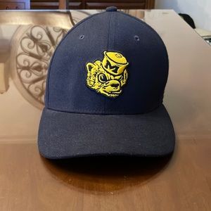 Michigan vintage hat